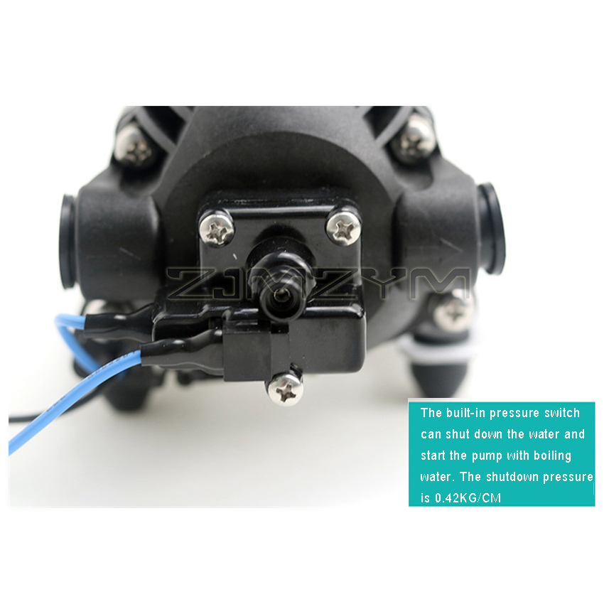 Brushless DC High Pressure Wat - Mini Peristaltic Pump 12V recension och pris